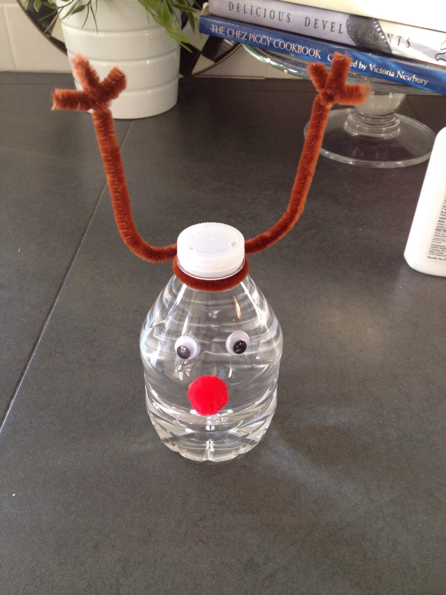 DIY Reindeer Water Bottles